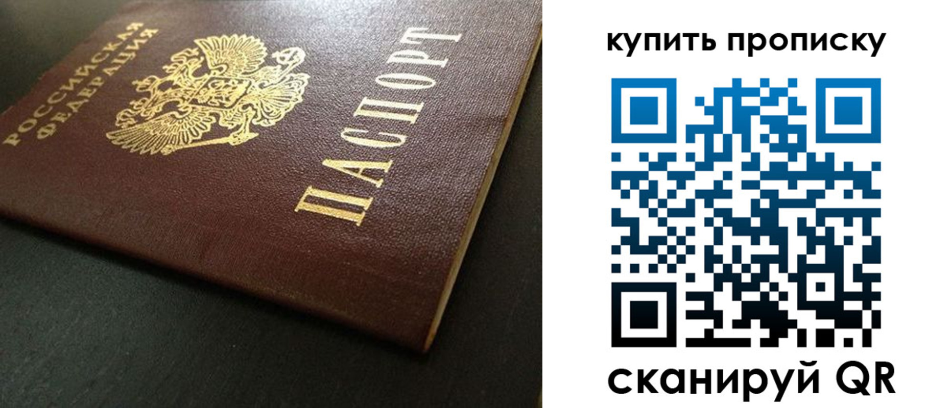 прописка законно в Дальнегорске